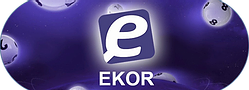 ekor